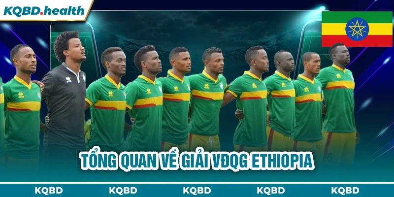 VĐQG Ethiopia 22 Tổng quan về giải VĐQG Ethiopia