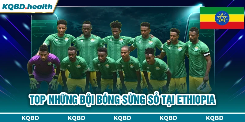 VĐQG Ethiopia 23 Top những đội bóng sừng sỏ tại Ethiopia