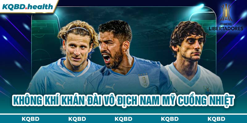 Vô Địch Nam Mỹ 24 Không khí khán đài Vô địch Nam Mỹ cuồng nhiệt